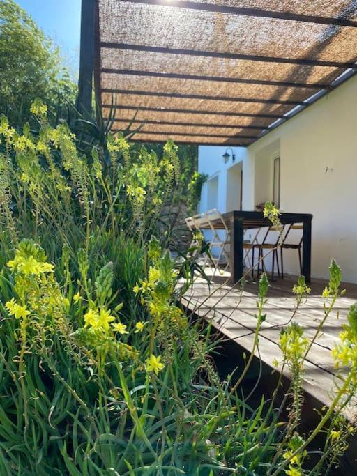 La Maison De Juliette Céret Exterior foto